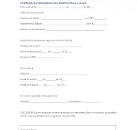 Carta autorización viajar